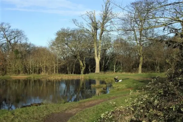 Fryent Country Park